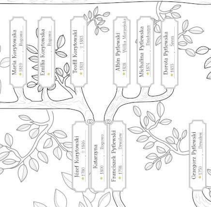 Drzewo genealogicze